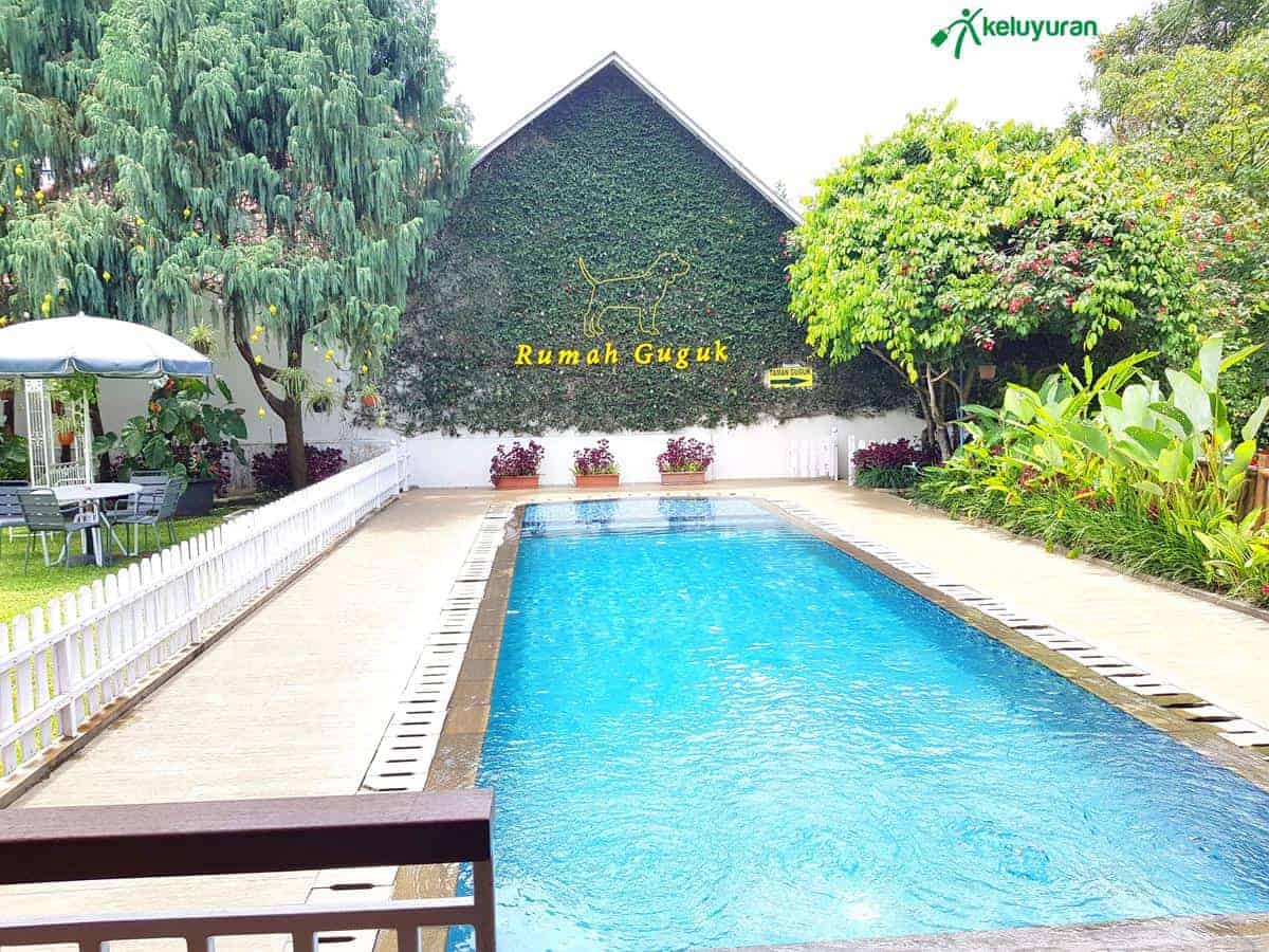 Kolam Renang Khusus Anjing, Wahana atau Spot Menarik di Rumah Guguk, Spot Foto, Fasilitas, Lokasi dan Akses Transportasi