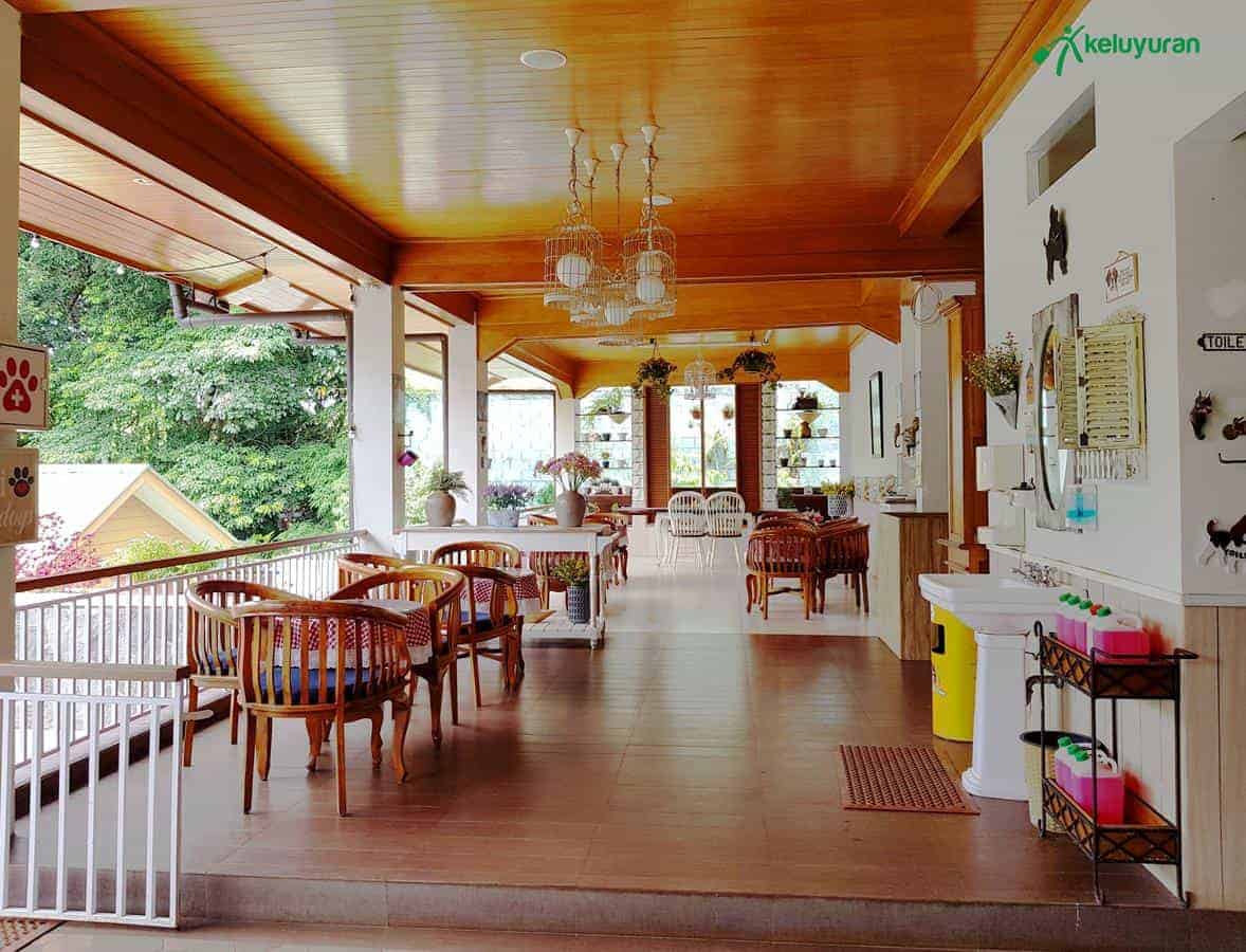 rumah guguk4, Wahana atau Spot Menarik di Rumah Guguk, Spot Foto, Fasilitas, Lokasi dan Akses Transportasi