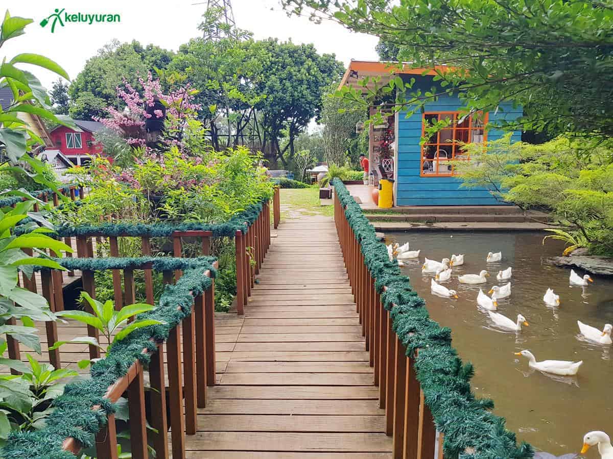 Hewan Lain, Wahana atau Spot Menarik di Rumah Guguk, Spot Foto, Fasilitas, Lokasi dan Akses Transportasi