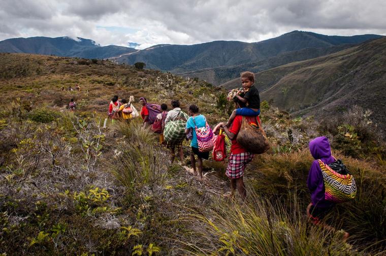 2. Holim, 3. Yokal, 4. Rumbai-Rumbai, 5. Aksesoris Pakaian Adat Papua, 1. Terbuat dari Alam, 2. Proses dan Seni, 3. Mencintai Tanah Mereka Sendiri