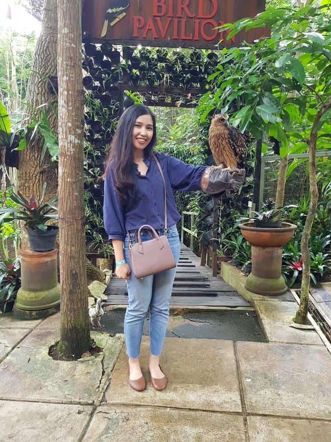 Area Burung Hantu