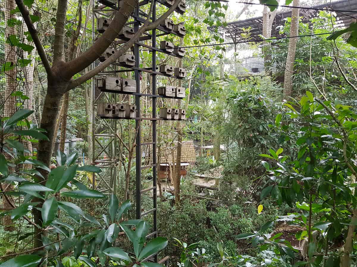 Area Burung Kecil dan Hewan Lainnya