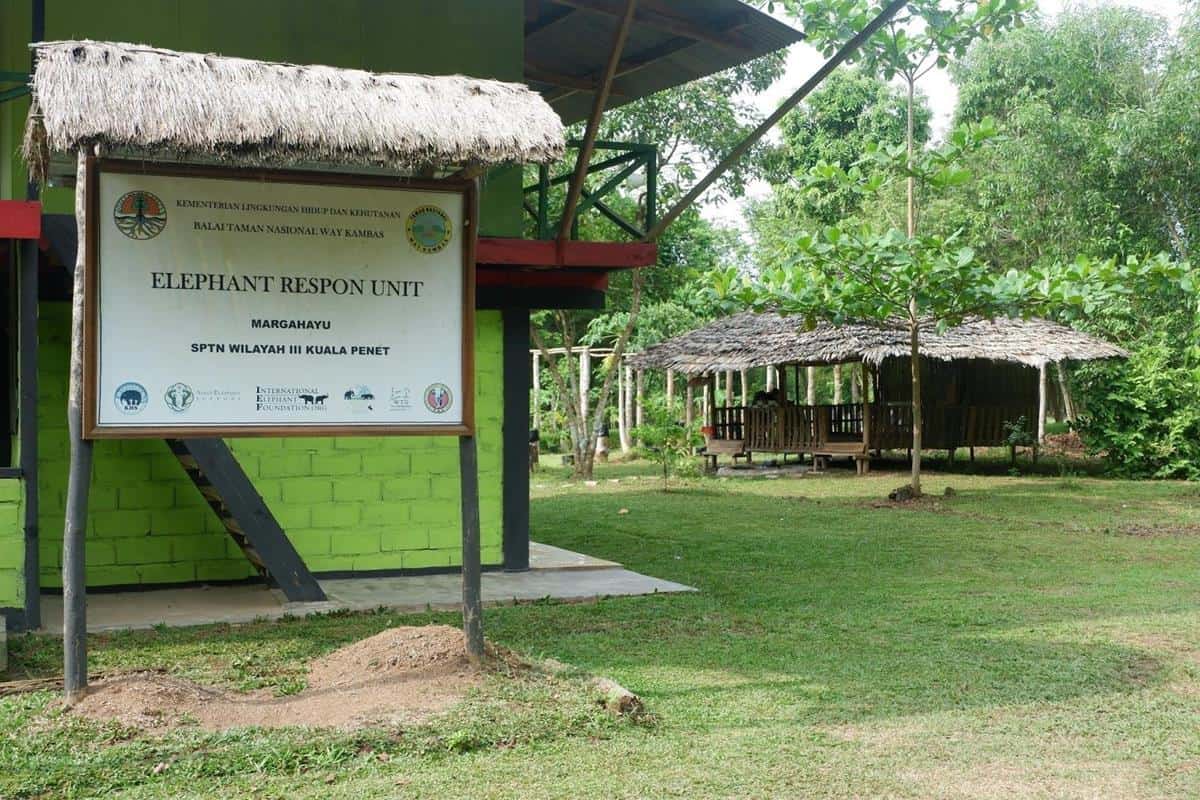 Camp Eru, 1. Danau Way Jepara, 2. Pandan Alas Sriminosari, 3. Sumur Tujuh, 4. Danau Kemuning, 5. Pantai Kuala Kambas, 6. Camp Eru, 7. Taman Nasional Way Kambas, 8. Pantai Kerang Mas, 9. Cagar Budaya Pugung Raharjo, 10. Goa Pandan