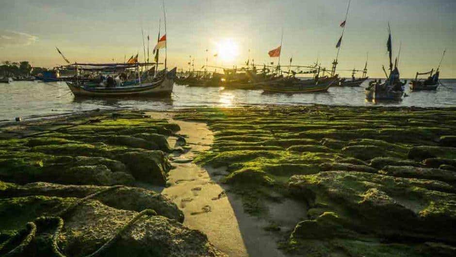 Pantai Gisik Cemandi, 1. Pantai Kepetingan, 2. Pantai Wughoyo, 3. Pantai Tlocor, 4. Pantai Dem Island, 5. Pantai Kalanganyar, 6. Pantai Gisik Cemandi, 7. Sarinah Island, 8. Pantai Kenjeran Lama, 9. Pantai Sontoh Laut, 10. Pantai Karang Hitam