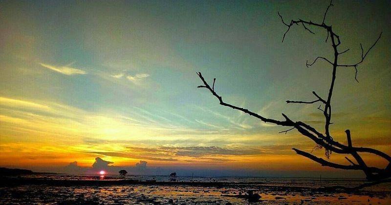 Pantai Jangkang, 1. Pantai Rupat, 2. Pantai Solop, 3. Pantai Selat Baru, 4. Pantai Purnama, 5. Pantai Beting Aceh, 6. Pantai Cinta, 7. Pantai Jangkang, 8. Pantai Koeneng, 9. Pantai Tenggayun, 10. Pantai Pulau Jemur