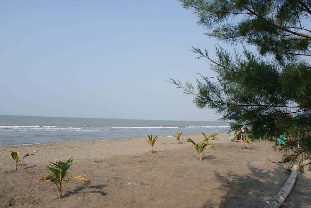 Pantai Randusanga, 1. Pantai Alam Indah, 2. Pantai Marlin, 3. Pantai Padaharja, 4. Pantai Purwahamba Indah, 5. Pantai Dampyak, 6. Pantai Batam Sari, 7. Pantai Pulau Kodok, 8. Pantai Randusanga, 9. Pantai Muarareja, 10. Pantai Larangan