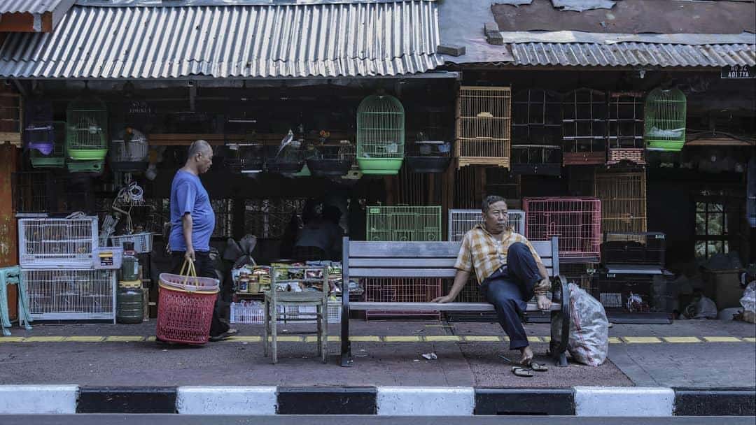 1. Pasar Hewan Jatinegara, 2. Pasar Burung Barito, 3. Pasar Hewan Pramuka, 4. Pasar Kolong Kebayoran Lama, 5. Pasar Burung dan Ikan Kelapa Gading