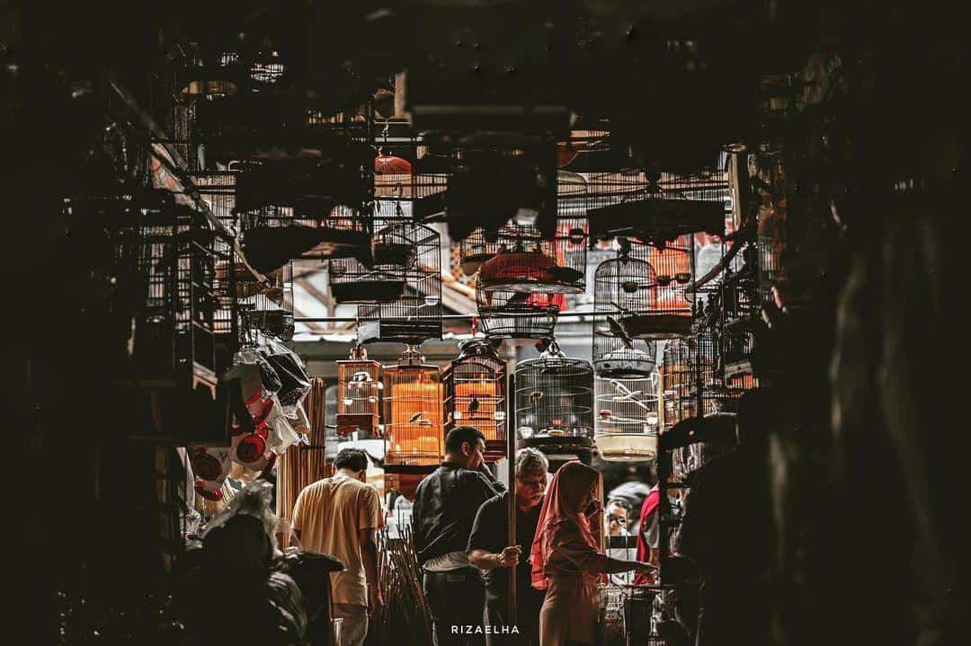 1. Pasar Hewan Jatinegara, 2. Pasar Burung Barito, 3. Pasar Hewan Pramuka, 4. Pasar Kolong Kebayoran Lama, 5. Pasar Burung dan Ikan Kelapa Gading