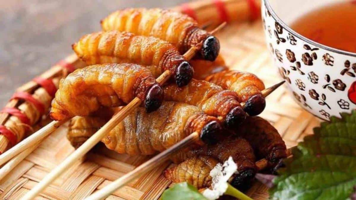 Sate Ulat Sagu, 1. Kue Sagu Bagea, 2. Papeda, 3. Ikan Bakar Manokwari, 4. Kue Lontar, 5. Aunu Sanebre, 6. Ikan Bungkus, 7. Sate Ulat Sagu, 8. Martabak Sagu, 9. Sagu Lempeng, 10. Aunuve Habre