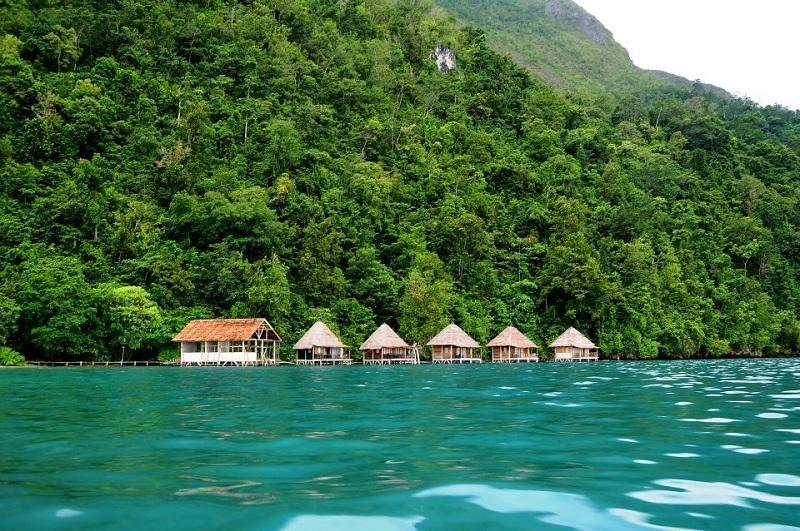 Taman Nasional Manusela (Maluku utara), 1. Taman Nasional Manusela (Maluku utara), 2. Taman Nasional Wasur (Papua), 3. Taman Nasional Lorentz ( Papua), 4. Taman Nasional Teluk Cendrawasih (Papua Barat), 5. Taman Nasional Aketajawe-Lolobata (Maluku Utara)