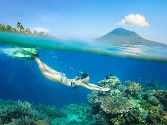 Taman Nasional Bunaken (Sulawesi Utara), 1. Taman Nasional Lore Lindu (Sulawesi Tengah), 2. Taman Nasional Rawa Aopa Watumohai (Sulawesi Tenggara), 3. Taman Nasional Bogani Nani Wartabone (Sulawesi Utara), 4. Taman Nasional Bunaken (Sulawesi Utara), 6. Taman Nasional Waktobi ( Sulawesi Tenggara), 7. Taman Nasional Kepulauan Togean (Sulawesi Tengah), 8. Taman Nasional Bantimurung-Bulusaraung (Sulawesi Selatan), 9. Taman Nasional Gandang Dewata (Sulawesi Barat)