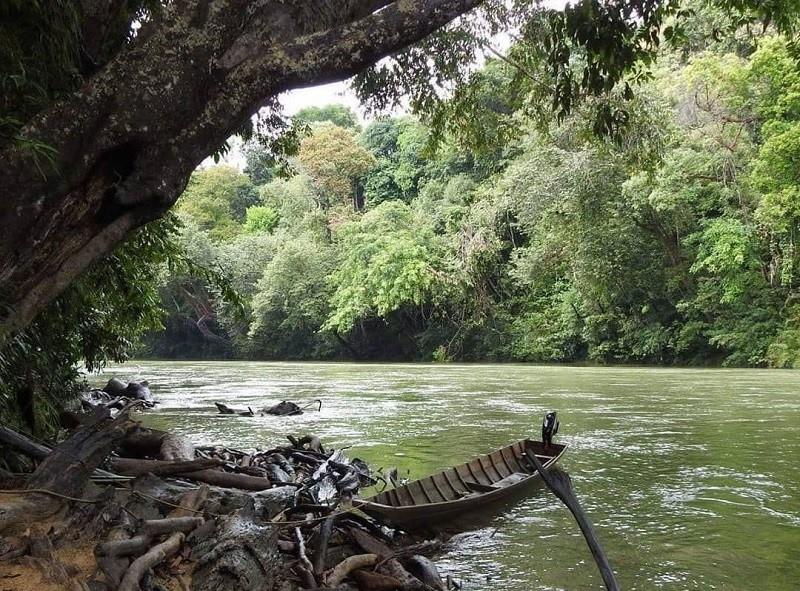 Taman Nasional Betung Kerihun (Kalimantan Barat), 1. Taman Nasional Tanjung Puting (Kalimantan Tengah), 2. Taman Nasional Kutai (Kalimantan Timur), 3. Taman Nasional Gunung Palung (Kalimantan Barat), 4. Taman Nasional Bukit Baka Bukit Raya (Kalbar), 5. Taman Nasional Betung Kerihun (Kalimantan Barat), 6. Taman Nasional Kayan Mentarang (Kalimantan Utara), 7. Taman Nasional Danau Sentarum (Kalimantan Barat), 8. Taman Nasional Sebangau (Kalimantan Tengah)