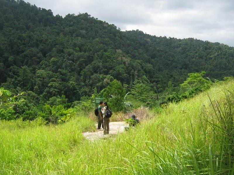 Taman Nasional Bogani Nani Wartabone (Sulawesi Utara), 1. Taman Nasional Lore Lindu (Sulawesi Tengah), 2. Taman Nasional Rawa Aopa Watumohai (Sulawesi Tenggara), 3. Taman Nasional Bogani Nani Wartabone (Sulawesi Utara), 4. Taman Nasional Bunaken (Sulawesi Utara), 6. Taman Nasional Waktobi ( Sulawesi Tenggara), 7. Taman Nasional Kepulauan Togean (Sulawesi Tengah), 8. Taman Nasional Bantimurung-Bulusaraung (Sulawesi Selatan), 9. Taman Nasional Gandang Dewata (Sulawesi Barat)