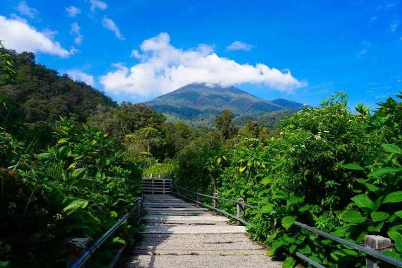 Taman Nasional Gunung Gede Pangrango (Jawa Barat), 1. Taman Nasional Ujung Kulon (Banten), 2. Taman Nasional Gunung Gede Pangrango (Jawa Barat), 3. Taman Nasional Baluran (Jawa Timur), 4. Taman Nasional Bromo Tengger Semeru (Jawa Timur), 5. Taman Nasional Karimunjawa ( Jawa Tengah), 6. Taman Nasional Gunung Halimun Salak (Jawa Barat), 7. Taman Nasional Alas Purwo (Jawa Timur), 8. Taman Nasional Gunung Ciremai (Jawa Barat), 9. Taman Nasional Gunung Merapi (Yoyakarta – Jawa Timur), 10. Taman Nasional Gunung Merbabu