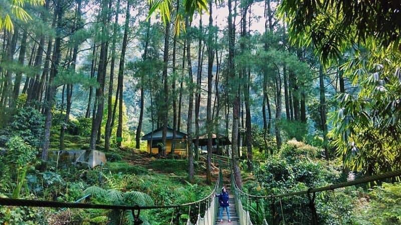 Taman Nasional Gunung Halimun Salak (Jawa Barat), 1. Taman Nasional Ujung Kulon (Banten), 2. Taman Nasional Gunung Gede Pangrango (Jawa Barat), 3. Taman Nasional Baluran (Jawa Timur), 4. Taman Nasional Bromo Tengger Semeru (Jawa Timur), 5. Taman Nasional Karimunjawa ( Jawa Tengah), 6. Taman Nasional Gunung Halimun Salak (Jawa Barat), 7. Taman Nasional Alas Purwo (Jawa Timur), 8. Taman Nasional Gunung Ciremai (Jawa Barat), 9. Taman Nasional Gunung Merapi (Yoyakarta – Jawa Timur), 10. Taman Nasional Gunung Merbabu