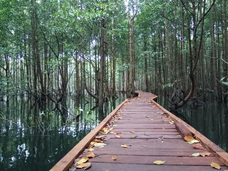 Taman Nasional Kutai (Kalimantan Timur), 1. Taman Nasional Tanjung Puting (Kalimantan Tengah), 2. Taman Nasional Kutai (Kalimantan Timur), 3. Taman Nasional Gunung Palung (Kalimantan Barat), 4. Taman Nasional Bukit Baka Bukit Raya (Kalbar), 5. Taman Nasional Betung Kerihun (Kalimantan Barat), 6. Taman Nasional Kayan Mentarang (Kalimantan Utara), 7. Taman Nasional Danau Sentarum (Kalimantan Barat), 8. Taman Nasional Sebangau (Kalimantan Tengah)