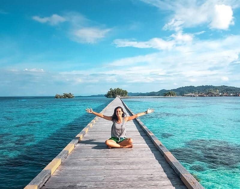 Taman Nasional Kepulauan Togean (Sulawesi Tengah), 1. Taman Nasional Lore Lindu (Sulawesi Tengah), 2. Taman Nasional Rawa Aopa Watumohai (Sulawesi Tenggara), 3. Taman Nasional Bogani Nani Wartabone (Sulawesi Utara), 4. Taman Nasional Bunaken (Sulawesi Utara), 6. Taman Nasional Waktobi ( Sulawesi Tenggara), 7. Taman Nasional Kepulauan Togean (Sulawesi Tengah), 8. Taman Nasional Bantimurung-Bulusaraung (Sulawesi Selatan), 9. Taman Nasional Gandang Dewata (Sulawesi Barat)