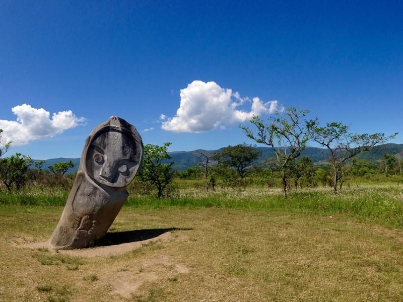 Taman Nasional Lore Lindu (Sulawesi Tengah), 1. Taman Nasional Lore Lindu (Sulawesi Tengah), 2. Taman Nasional Rawa Aopa Watumohai (Sulawesi Tenggara), 3. Taman Nasional Bogani Nani Wartabone (Sulawesi Utara), 4. Taman Nasional Bunaken (Sulawesi Utara), 6. Taman Nasional Waktobi ( Sulawesi Tenggara), 7. Taman Nasional Kepulauan Togean (Sulawesi Tengah), 8. Taman Nasional Bantimurung-Bulusaraung (Sulawesi Selatan), 9. Taman Nasional Gandang Dewata (Sulawesi Barat)