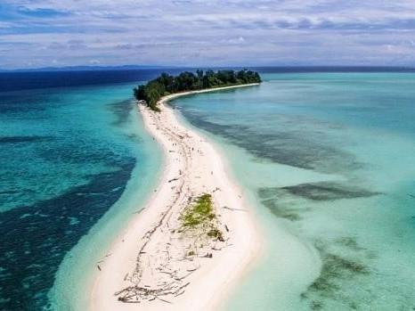 Taman Nasional Teluk Cendrawasih (Papua Barat), 1. Taman Nasional Manusela (Maluku utara), 2. Taman Nasional Wasur (Papua), 3. Taman Nasional Lorentz ( Papua), 4. Taman Nasional Teluk Cendrawasih (Papua Barat), 5. Taman Nasional Aketajawe-Lolobata (Maluku Utara)