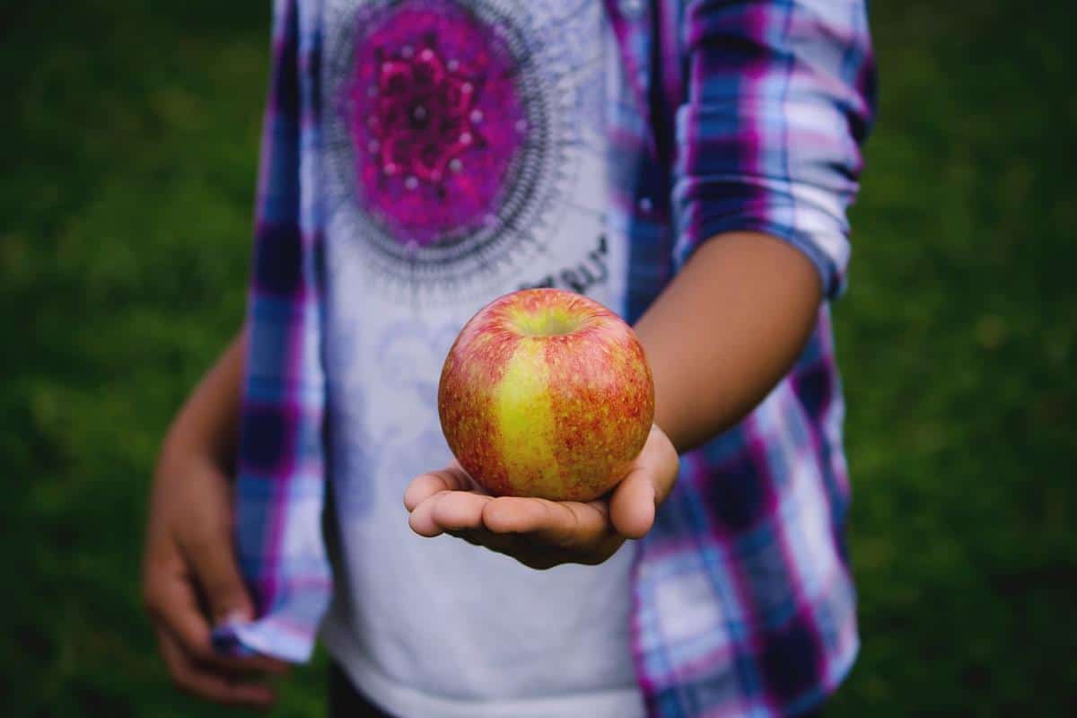 Menerima Makanan atau Minuman dari Orang Asing, 1. Membawa Banyak Barang dan Penumpang , 2. Menggunakan Kendaraan Bermasalah, 3. Pergi dalam Keadaan Sakit atau Tidak Fit , 4. Memisahkan Diri dari Rombongan , 5. Tidak Membawa Persiapan yang Cukup , 6. Menerima Makanan atau Minuman dari Orang Asing , 7. Membawa Uang Cash yang Terlalu Banyak, 8. Menggunakan Banyak Perhiasan , 9. Mengangkut Orang Tidak Dikenal di Jalan , 10. Memaksakan Diri Tanpa Istirahat 