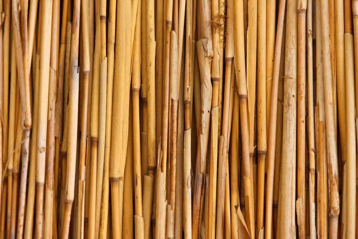 Rotan, 1. Toya Betawi, 2. Pisau Raut, 3. Punta, 4. Rotan, 5. Trisula Betawi, 6. Golok, 7. Keris, 8. Cundrik Betawi, 9. Badik Cangkingan, 10. Kerakel