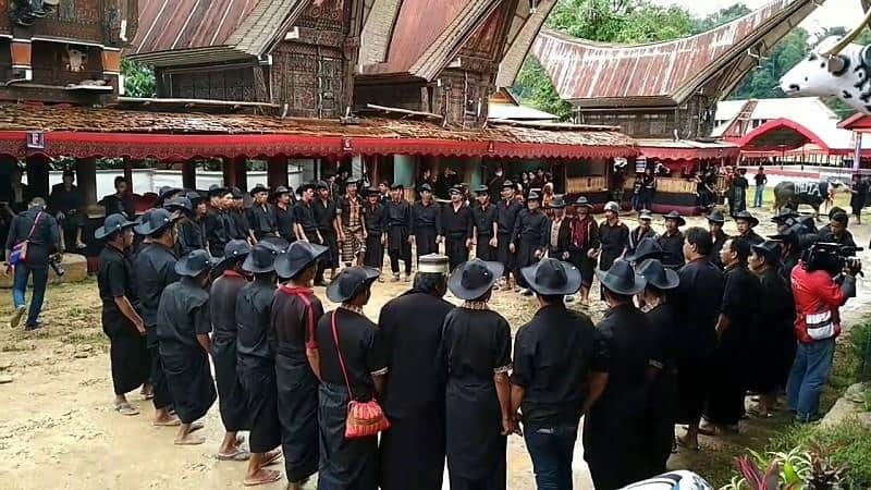 Tari Ma’Badong, 1. Tari Kipas Pakarena, 2. Tari Ma’Badong, 3. Tari Pakkuru Sumange, 4. Tari Adat Pattennung, 5. Tari Ma’Randing, 6. Tari Manimbong, 7. Tari Gandrang Bulo, 8. Tari Ma’Gellu, 9. Tari Bosara, 10. Tari Tradisional Pajoge