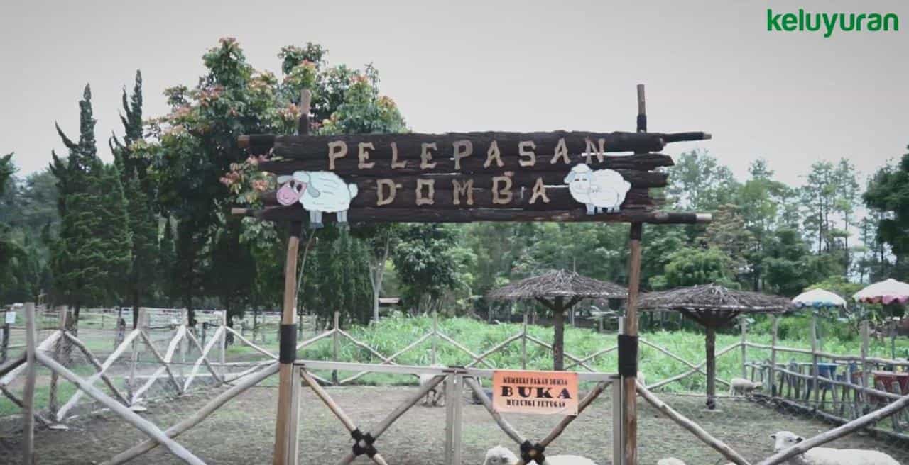 de ranch lembang 9, Wahana dan Spot Menarik, Informasi Harga Tiket dan Jam Operasional, Fasilitas De Ranch Lembang, Informasi Alamat dan Akses Transportasi De Ranch Lembang, Hotel di Sekitar De Ranch Lembang