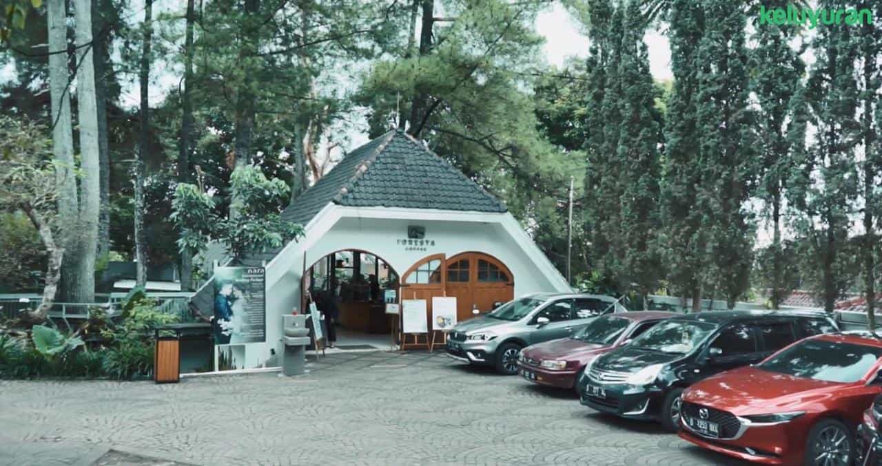 Wahana atau Spot Populer, Harga Tiket dan Jam Operasional, Makanan & Minuman, Fasilitas, Alamat dan Akses Transportasi, Hotel di Sekitar Nara Park