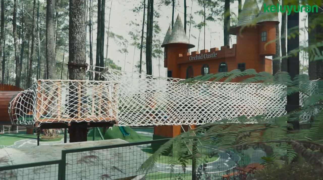 Wahana atau Spot Populer di Orchid Forest Cikole, Harga Tiket dan Jam Operasional Orchid Forest , Fasilitas Orchid Forest , Alamat dan Akses Transportasi Orchid Forest, Hotel di Sekitar Orchid Forest Cikole