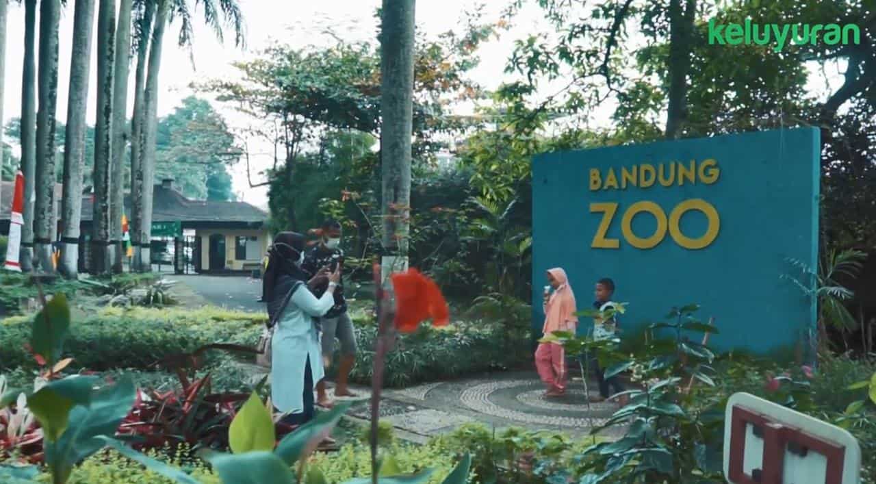 Wahana dan Spot Populer di Kebun Binatang Bandung, Koleksi Satwa, Harga Tiket dan Jam Operasional, Fasilitas di Kebun Binatang Bandung, Alamat dan Akses Transportasi, Hotel dan Penginapan Sekitar Kebun Binatang Bandung