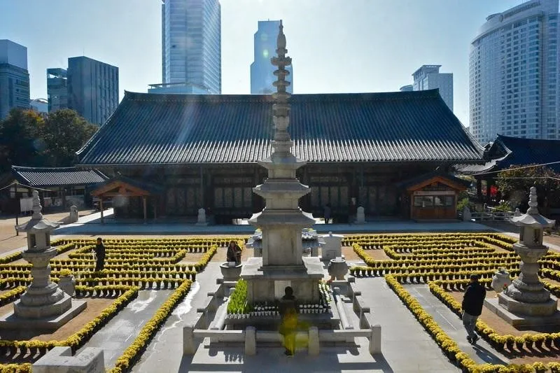 Kuil Bongeunsa, 1. Kuil Cheoneunsa, 2. Kuil Bulguksa, 3. Kuil Haedong Yonggung, 4. Kuil Bongeunsa, 5. Kuil Suguksa, 6. Kuil Beomeosa, 7. Kuil Jogyesa, 8. Kuil Hwagyesa, 9. Kuil Guinsa, 10. Kuil Gakwonsa