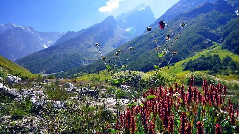 Lembah Bunga, Uttarakhand, 1. Lembah Bunga, Uttarakhand, 2. Lembah Spiti, Himachal Pradesh, 3. Lembah Nubra, Jammu-Kashmir, 4. Lembah Yumthang, Sikkim Utara, 5. Lembah Dzukou, Kohima, 6. Lembah Lidder, Jammu-Kashmir, 7. Lembah Zanskar, Ladakh, 8. Lembah Suru, Kargil, 9. Lembah Warwan, Kashmir, 10. Lembah Ziro, Arunachal Pradesh