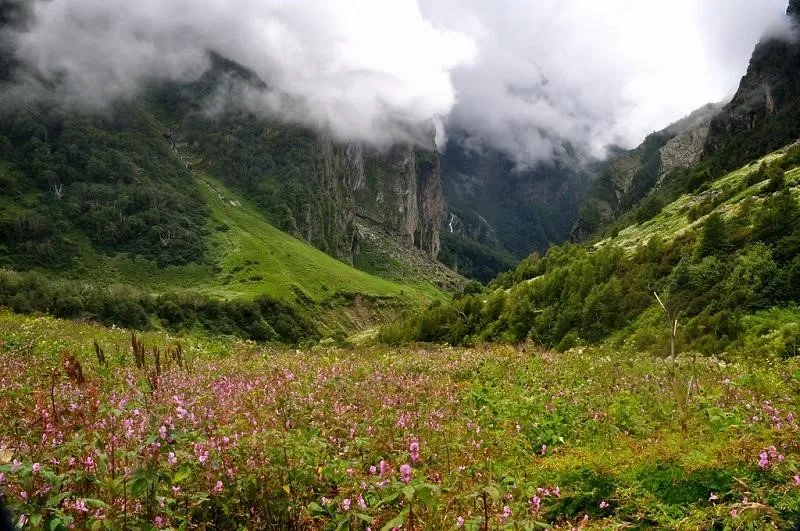 Lembah Bunga, India, 1. Lembah Thorsmörk, Islandia, 2. Lembah Jiuzhaigou, Tiongkok, 3. Lembah Kaghan, 4. Lembah Barun, 5. Lembah Danum, 6. Lembah Ten Peaks, Kanada, 7. Lembah Yosemite, Amerika Serikat, 8. Lembah Lauterbrunnen, Swiss, 9. Lembah Bunga, India, 10. Lembah Harau, Indonesia