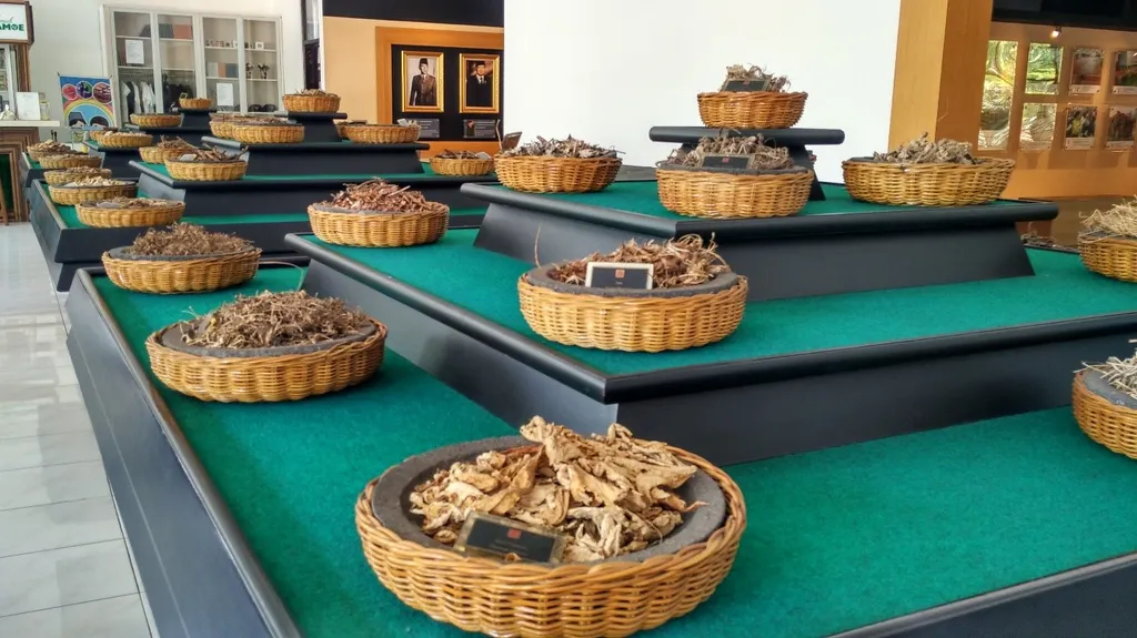 Ruang Museum Jamu Jago, Spot Populer di Museum MURI, Fasilitas, Lokasi dan Akses Transportasi, Hotel di Sekitar