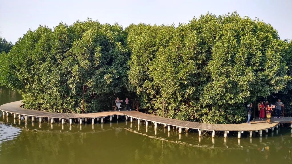 Trekking Mangrove, Wahana dan Spot Populer, Fasilitas, Lokasi dan Akses Transportasi, Hotel di Sekitar
