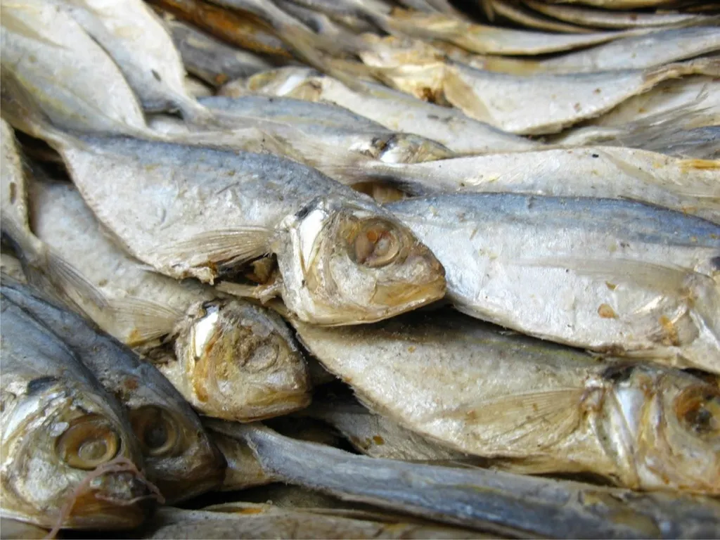 Menggunakan Bahan Ikan, 1. Asam dan Pedas, 2. Kuah Bening, 3. Menggunakan Sayur Mentah , 4. Menggunakan Bahan Ikan, 5. Bahan Masakan Difermentasi, 6. Menggunakan Bahan Dasar Bawang dan Kunyit, 7. Dibungkus Daun Pisang, 8. Beragam Olahan Nasi, 9. Menggunakan Bahan/Bumbu Saus Kacang , 10. Memiliki Tekstur Kenyal dan Lembut