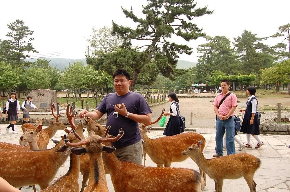 Nara Deer Park, 1. Machida Squirrel Garden, 2. Tsukuba Wan Wan Land, 3. Nasu Alpaca Farm, 4. Noboribetsu Bear Park, 5. Capybara Onsen, 6. Jigokudani Monkey Park, 7. Cat Island, 8. Okunoshima Island, 9. Nara Deer Park, 10. Arashiyama Monkey Park Iwatayama