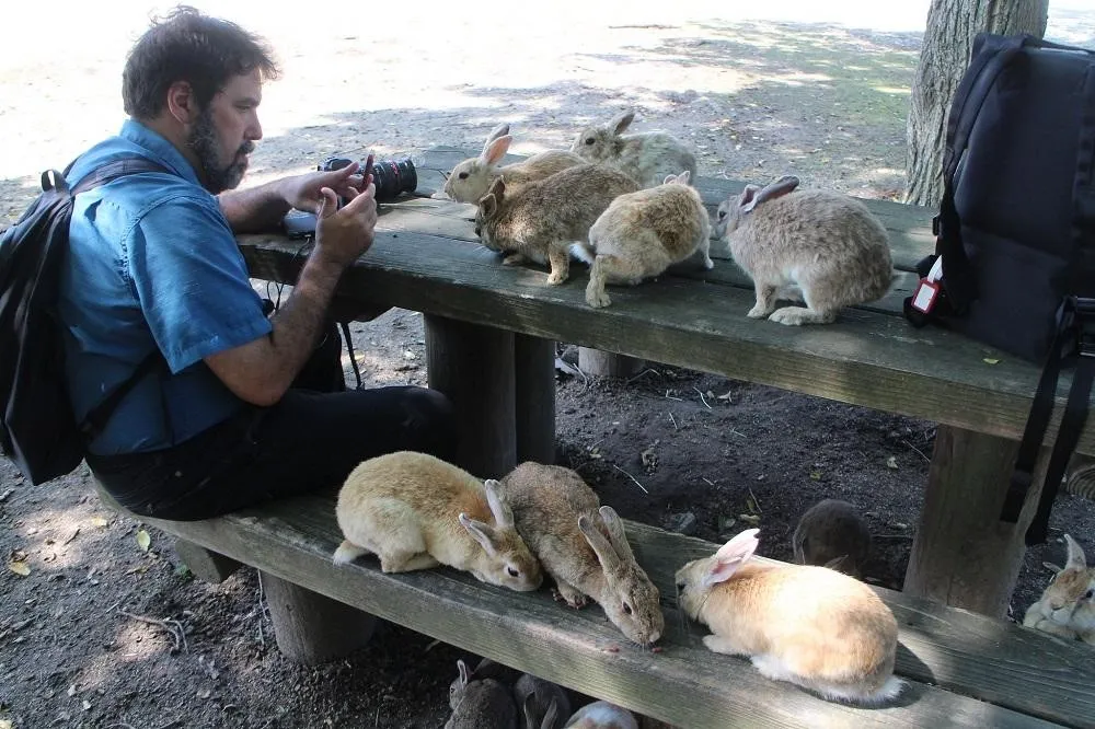 Okunoshima Island, 1. Machida Squirrel Garden, 2. Tsukuba Wan Wan Land, 3. Nasu Alpaca Farm, 4. Noboribetsu Bear Park, 5. Capybara Onsen, 6. Jigokudani Monkey Park, 7. Cat Island, 8. Okunoshima Island, 9. Nara Deer Park, 10. Arashiyama Monkey Park Iwatayama