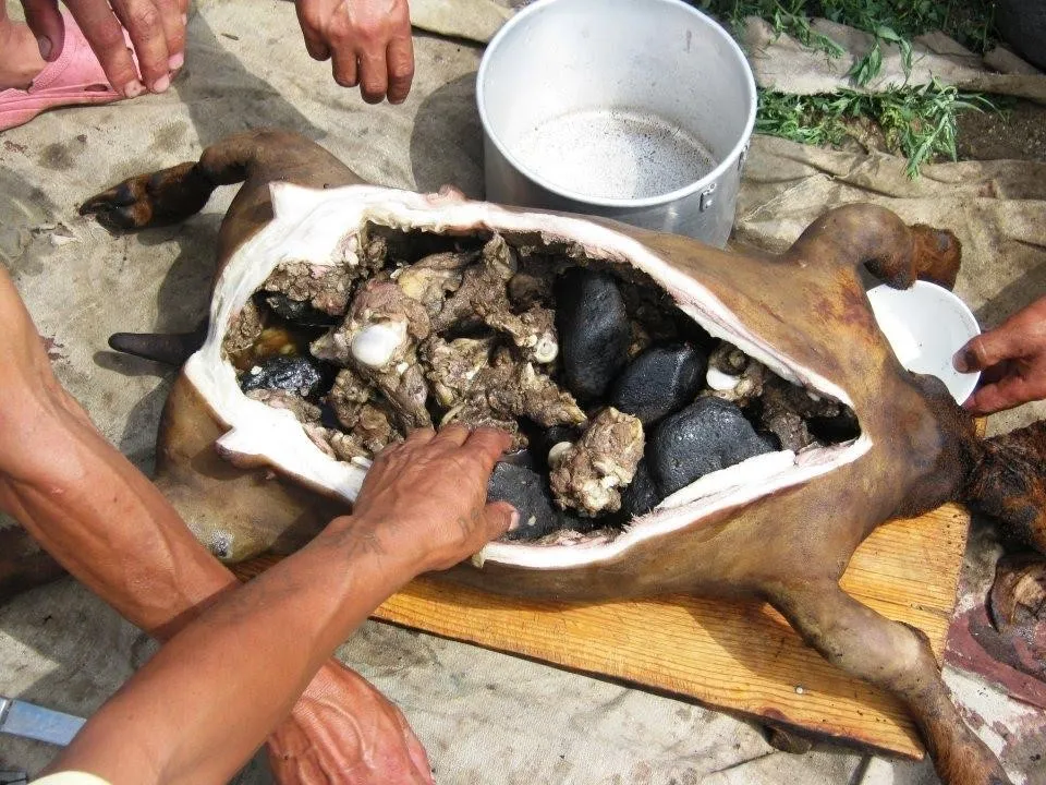 Boodog, 2. Khorkhog, 3. Tsuivan, 4. Khuushuur, 5. Bantan, 6. Boodog, 7. Aaruul, 8. Bansh, 9. Chanasan Makh, 10. Guriltai Shul