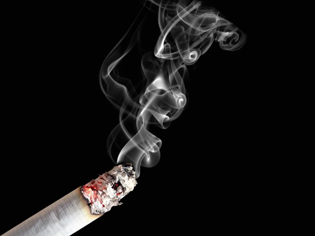 Rokok haram di Brunei, 1. Negara Terkaya di ASEAN, 2. Memberikan Jaminan Pendidikan dan Medis Gratis, 3. Pemimpin Terlama di Asia, 4. Melarang Penjualan Alkohol, 5. Memiliki Tingkat Obesitas yang Tinggi, 6. Memberlakukan Hukum Syariah , 7. Negara dengan Tingkat Kepemilikan Mobil Tertinggi di Dunia, 8. Penduduknya Fasih Bahasa Inggris , 9. Melepas Sepatu saat Bertamu, 10. Rokok Haram di Brunei