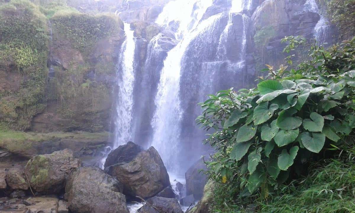 Curup Gangsa Kasui, 1. Bendungan Way Rarem, 2. Abung River Tubing, 3. Agrowisata Lembah Bambu Kuning, 4. Tugu Payan Mas, 5. Bendungan Tirta Shinta, 6. Air Terjun Beringin, 7. Air Terjun Indah Klawas, 8. Way Tebabeng, 9. Curup Gangsa Kasui, 10. Curup Waras