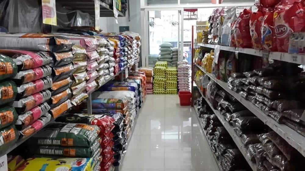 Fourty One Pet Shop, 1. Club Pet, 2. Juaro Pet Shop &amp; Care, 3. Muezza Petshop, 4. Ramdhan Pet Shop Bandung Wetan, 5. Mutiara Pet Shop &amp; Drh. Lista, 6. Rumah Guguk Petshop, 7. Pet Distro, 8. Fourty One Pet Shop, 9. Zoom Pet Shop, 10. PetCare69, 11. Pet Island, 12. Jangki Petshop, 13. Suci Petshop, 14. Bejo Petmart, 15. Momo Petshop &amp; Care