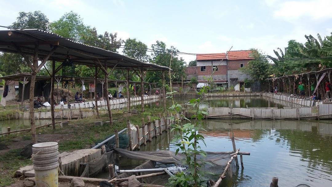 Kolam Pancing Elok, 1. Kolam Pancing Auri Sedati Agung, 2. Monstero Fishing Park, 3. Delta Fishing, 4. Agro Wisata Tambak, 5. Kolam Pemancingan Pak Misro, 6. Kolam Pancing Gafina Jaya Makmur, 7. Kolam Pancing Karisma Juanda, 8. Kusuma Tirta Minapolitan, 9. Kolam Pancing Elok, 10. CSDW Kolam Pancing