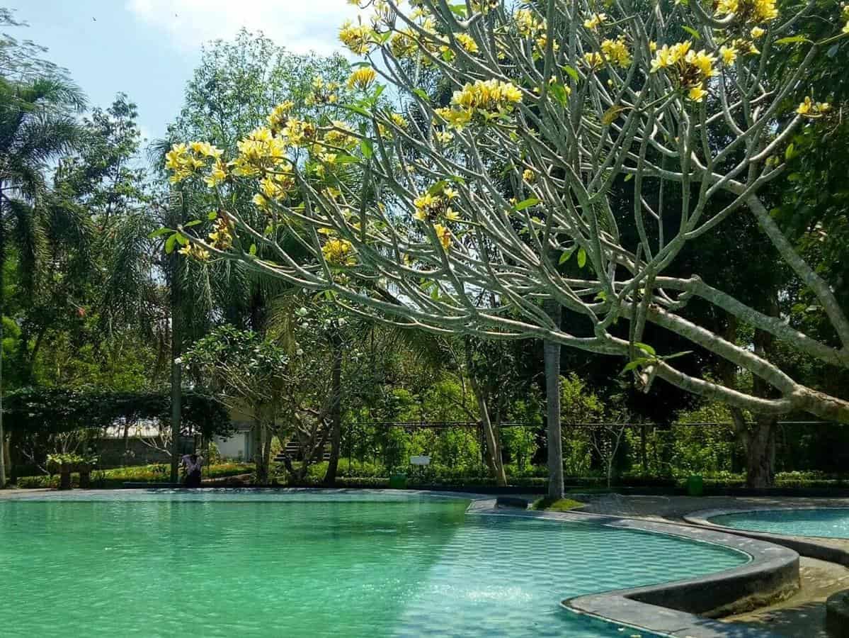Kolam Renang Kimo, 1. Tiara Jember Park Waterboom, 2. Kolam Renang Botani Sukorambi, 3. Kolam Renang Rembangan, 4. Kolam Renang Oleng Sibutong, 5. Dira Waterpark Kencong, 6. Kolam Renang Kimo, 7. Kolam Renang Mumbul Garden, 8. Niagara Waterpark Ambulu, 9. Kolam Renang Patemon, 10. Kolam Renang Green Hill