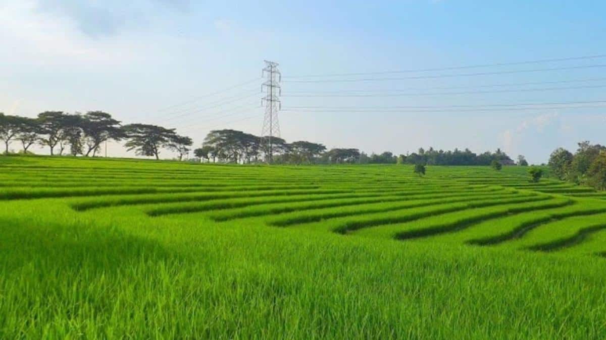 Sawah Bertingkat, 1. Gua Warak, 2. Sawah Bertingkat, 3. Taman Merdeka, 4. Dam Raman, 5. Taman Bunga Asri, 6. Taman Palem Indah, 7. Jembatan Gantung Pelita, 8. Masjid Taqwa, 9. Taman Metro Indonesia Indah, 10. Taman Sakura Garden