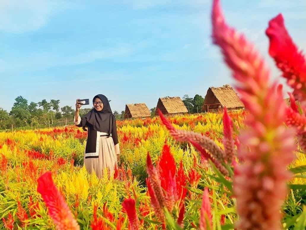 Taman Bunga Asri, 1. Gua Warak, 2. Sawah Bertingkat, 3. Taman Merdeka, 4. Dam Raman, 5. Taman Bunga Asri, 6. Taman Palem Indah, 7. Jembatan Gantung Pelita, 8. Masjid Taqwa, 9. Taman Metro Indonesia Indah, 10. Taman Sakura Garden