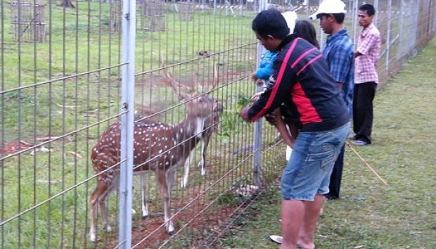 Taman Rusa, 1. Alun-Alun Cikampek, 2. Taman Rusa, 3. Rimba Riset Kebon Kembang, 4. Situ Kamojing, 5. Museum Lokomotif Kereta, 6. Pohon Miring Pancawati, 7. Wisata Air Restoran Alam Sari, 8. Waterpark Playground Cikampek, 9. Taman Pelangi, 10. Sirkuit Autocar Dawuan