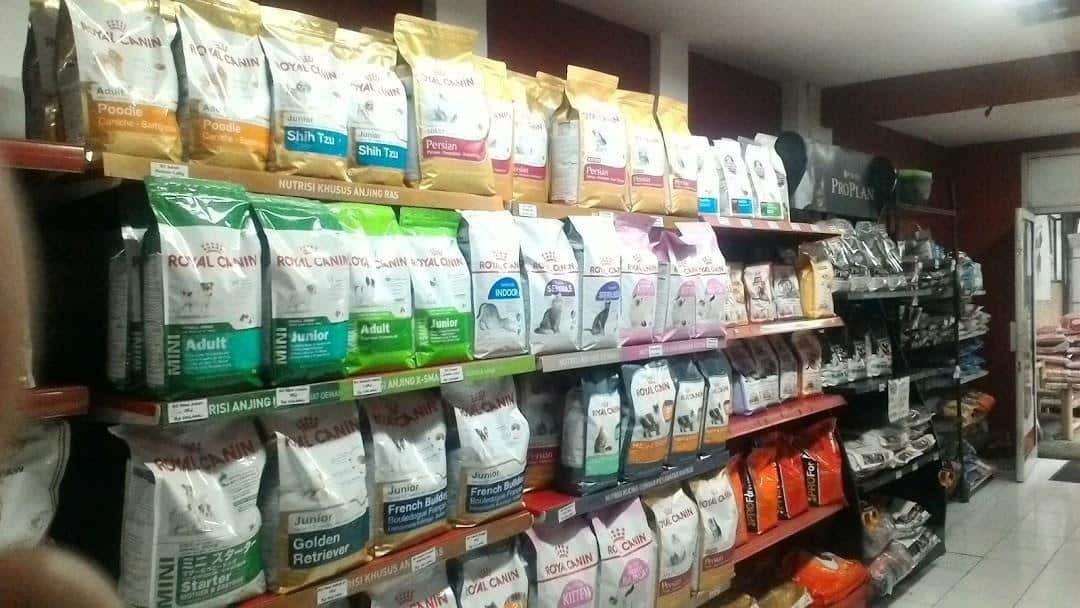 Zoom Pet Shop, 1. Club Pet, 2. Juaro Pet Shop &amp; Care, 3. Muezza Petshop, 4. Ramdhan Pet Shop Bandung Wetan, 5. Mutiara Pet Shop &amp; Drh. Lista, 6. Rumah Guguk Petshop, 7. Pet Distro, 8. Fourty One Pet Shop, 9. Zoom Pet Shop, 10. PetCare69, 11. Pet Island, 12. Jangki Petshop, 13. Suci Petshop, 14. Bejo Petmart, 15. Momo Petshop &amp; Care