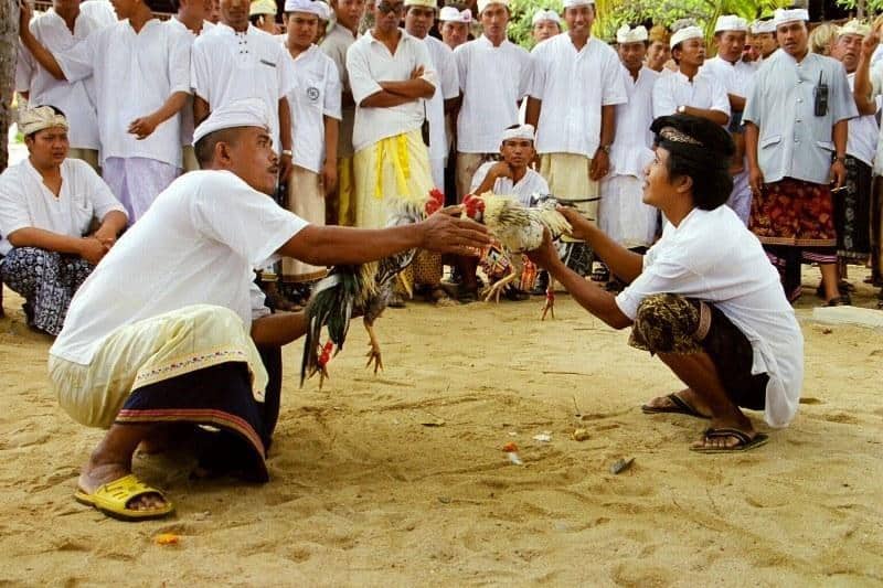 Baju Safari, Makna di Balik Pakaian Adat Bali, Jenis-Jenis Pakaian Adat Bali, Pakaian Adat Bali, Pakaian Adat Bali Laki-Laki dan Aksesoris, Pakaian Adat Bali Bagi Perempuan dan Aksesorisnya