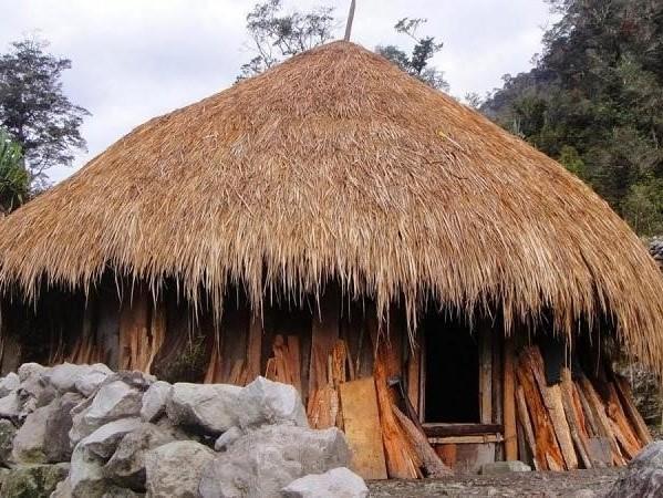 Rumah Adat Honai, 1. Rumah Adat Honai, 2. Rumah Adat Ebei untuk Perempuan, 3. Rumah Pohon Suku Korowai, 4. Rumah Adat Rumsram, 5. Rumah Adat Jew dari Suku Asmat , 6. Rumah Adat Kariwari, 7. Rumah Adat Kaki Seribu, 8. Rumah Adat Wamai